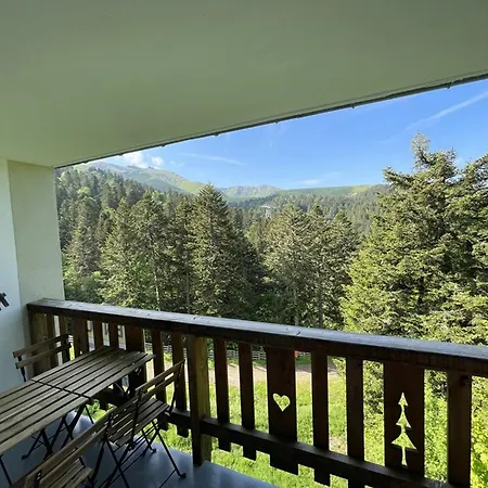 Cosy Avec Balcon, Accès Direct Piste Et Parking Privatif - Fr-1-787-20 Appartamento