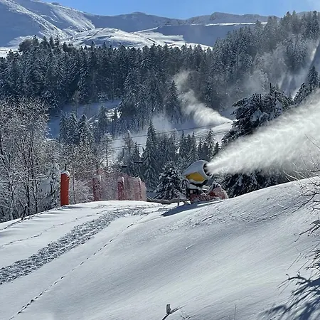 Cosy Avec Balcon, Accès Direct Piste Et Parking Privatif - Fr-1-787-20 Appartamento *
